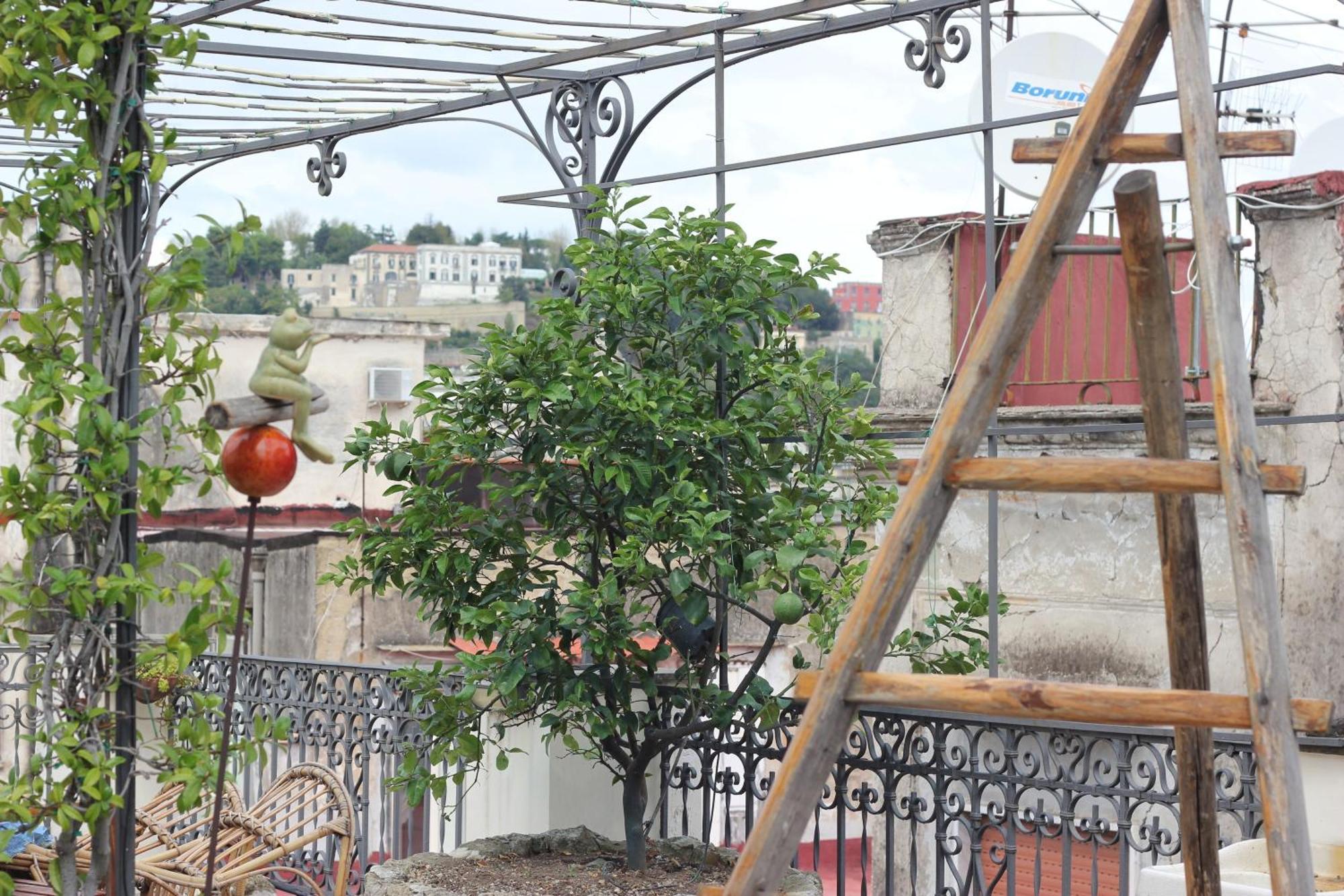 Lemon Tree Terrace Apartment Наполи Екстериор снимка